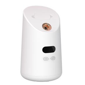 Chance Beauty Face Steamer CS-Z13