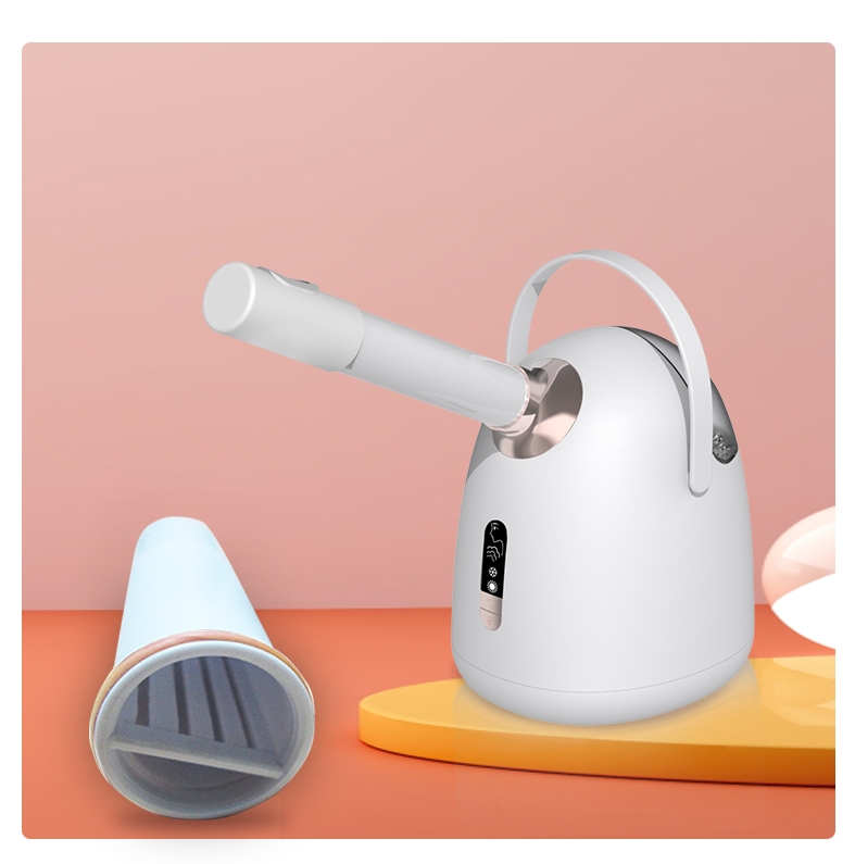 face sprayer.jpg